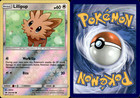 Lillipup