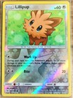 Lillipup