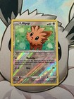 Lillipup