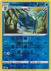 Araquanid