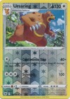 Ursaring