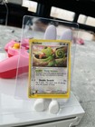 Kecleon
