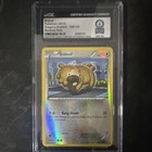 Bidoof