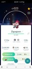 Galarian Zigzagoon