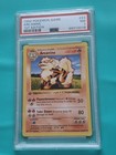 Arcanine