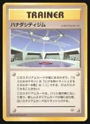 Cerulean City Gym