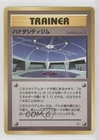 Cerulean City Gym