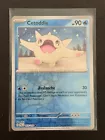 Cetoddle