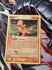 Ditto