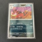 Krookodile