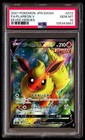 Flareon V
