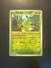 Turtwig