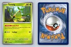 Turtwig