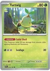 Turtwig
