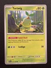 Turtwig