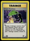 Erika's Kindness