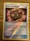 Unidentified Fossil