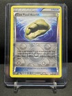 Claw Fossil Anorith