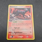 Houndoom