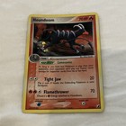 Houndoom