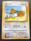 Doduo