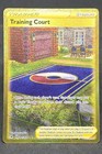 Training Court