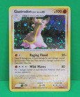 Gastrodon West Sea