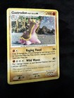 Gastrodon West Sea