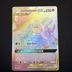 Greninja & Zoroark GX