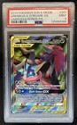 Greninja & Zoroark GX