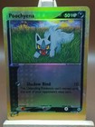 Poochyena