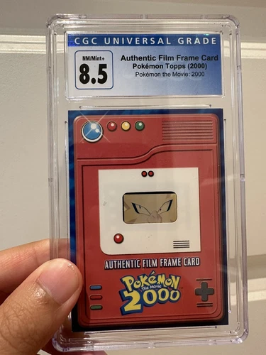 Authentic Film Frame