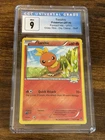 Torchic