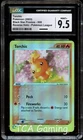 Torchic