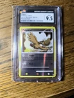 Pidgey