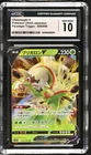 Chesnaught V