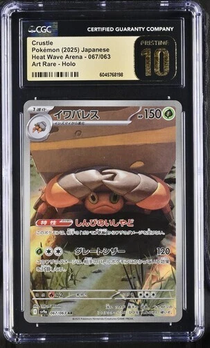 Pokemon Catcher