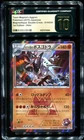 Team Magma's Aggron
