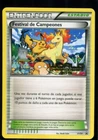 Champions Festival