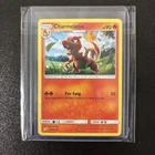 Charmeleon