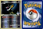Chatot G