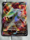 Chesnaught V