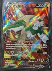 Chesnaught V