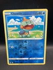 Chewtle