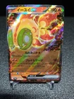 Chi-Yu ex