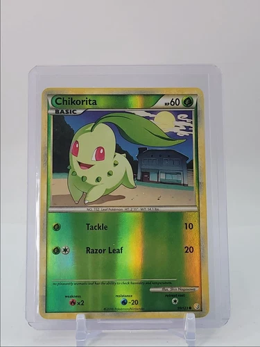 Chikorita