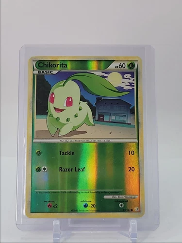 Chikorita