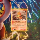 Chimchar