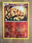 Chimchar