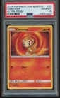 Chimchar